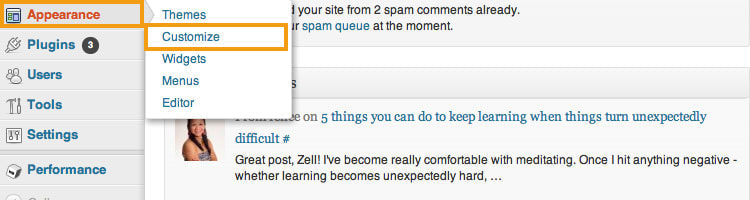 Location of customize in wordpress backend