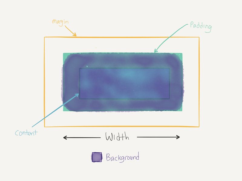 Background is shown on the padding property