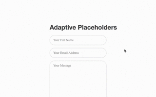 Adaptive Placeholder email
