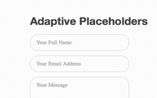 Adaptive Placeholders input