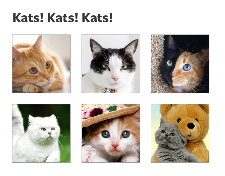 Image that contains 6 cats lined up in a grid