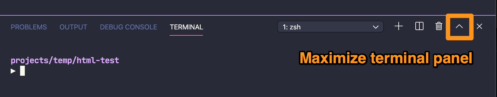 Location of the button to maximize the terminal.