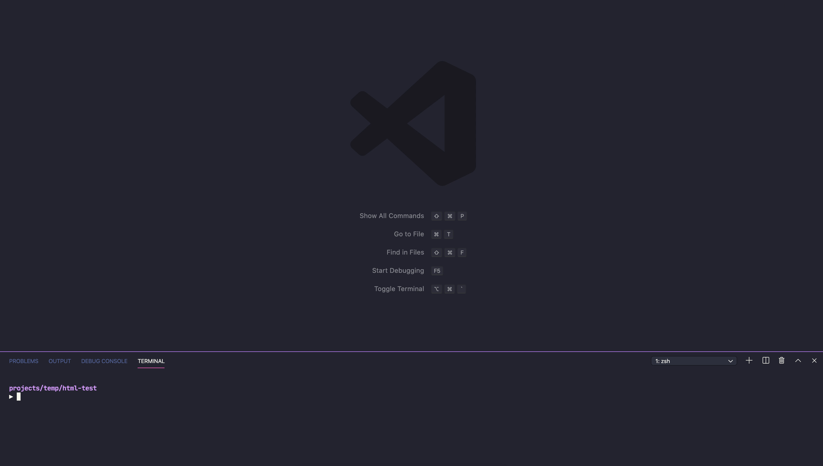 Maximizes the terminal panel.