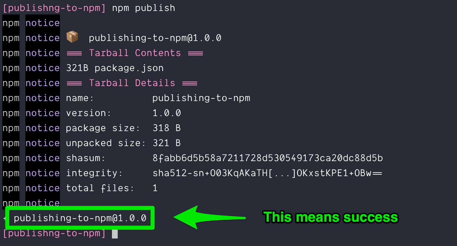 Successfully published to npm