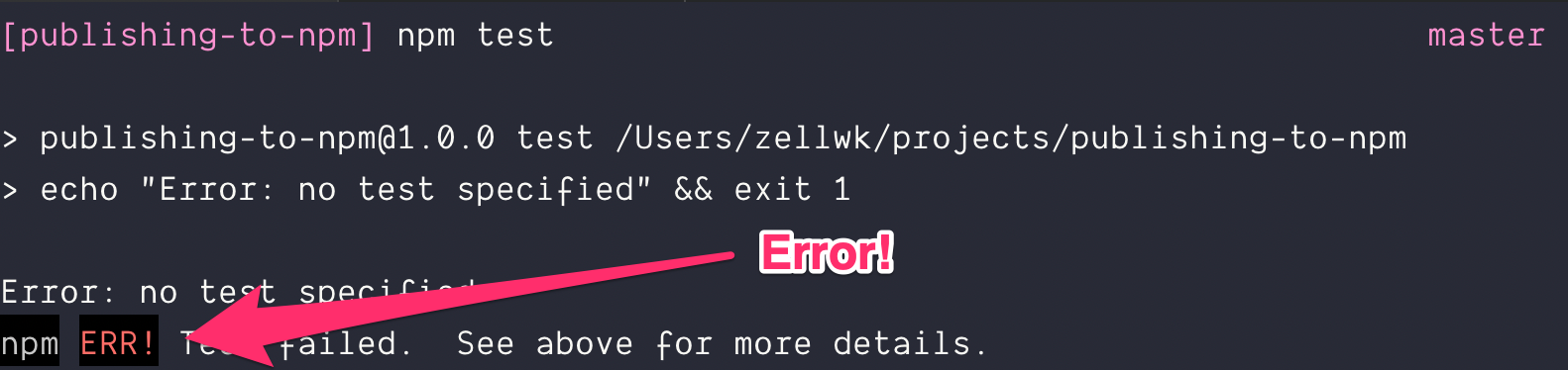npm test results in an error