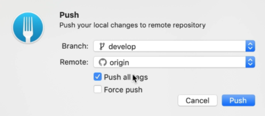 Choice to push tag into remote