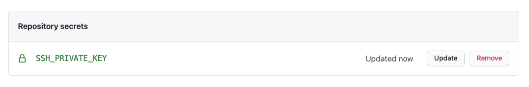 saved secret ssh-private-key