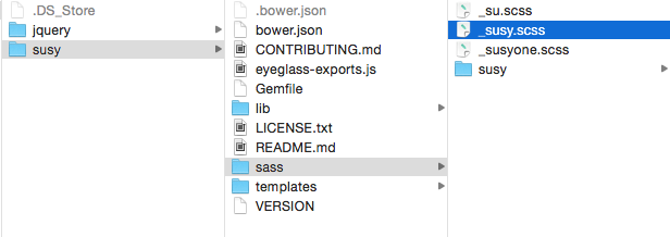 Susy SASS file
