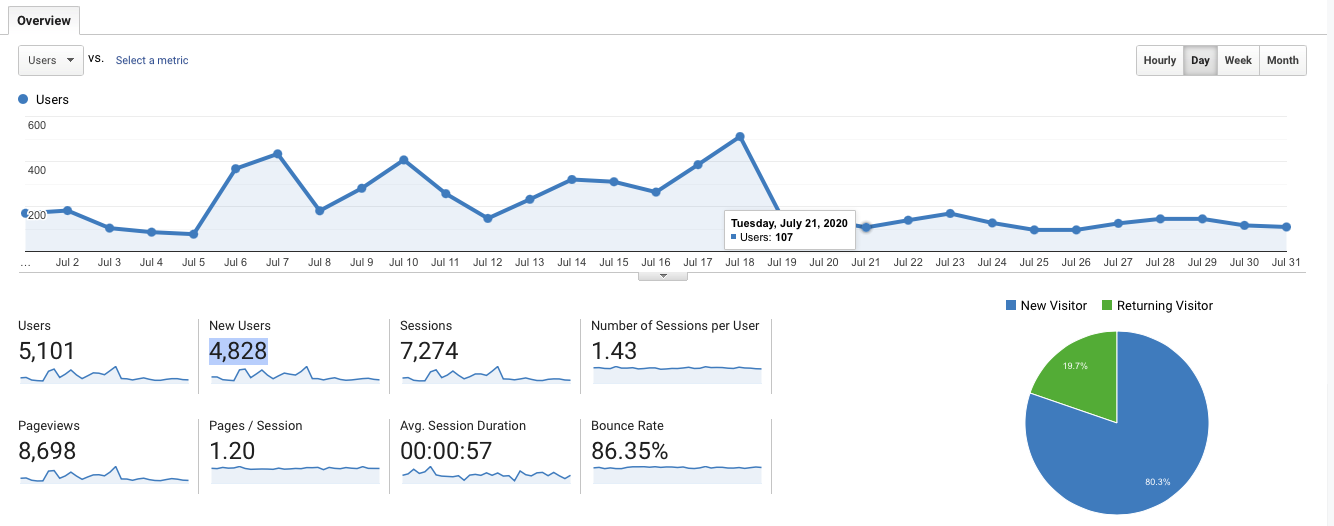 website visitor chart